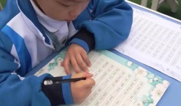 小学生识字带拼音，开启阅读之旅的金钥匙