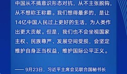 探究降血压效果显著的茶类，科学与实践的结合