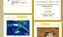 探索儿童百科系列电子书，开启知识之门的钥匙