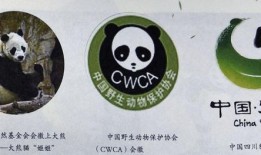 熊猫的象征与知识产权保护，打击假冒伪劣的战斗
