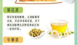 探索降血压的最佳茶类，科学与健康并行