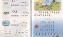 小学生拼音学习指南，掌握拼音，开启语言之门