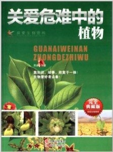 探索清风DJ音乐网APP，音乐爱好者的新天地