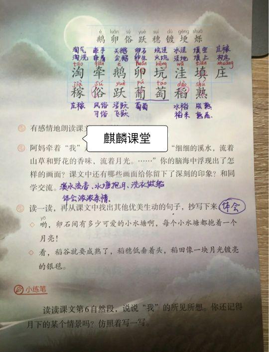 提升语言能力，小学生拼音朗读视频的益处与应用