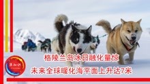 动物世界大揭秘，趣味问答题挑战你的知识极限