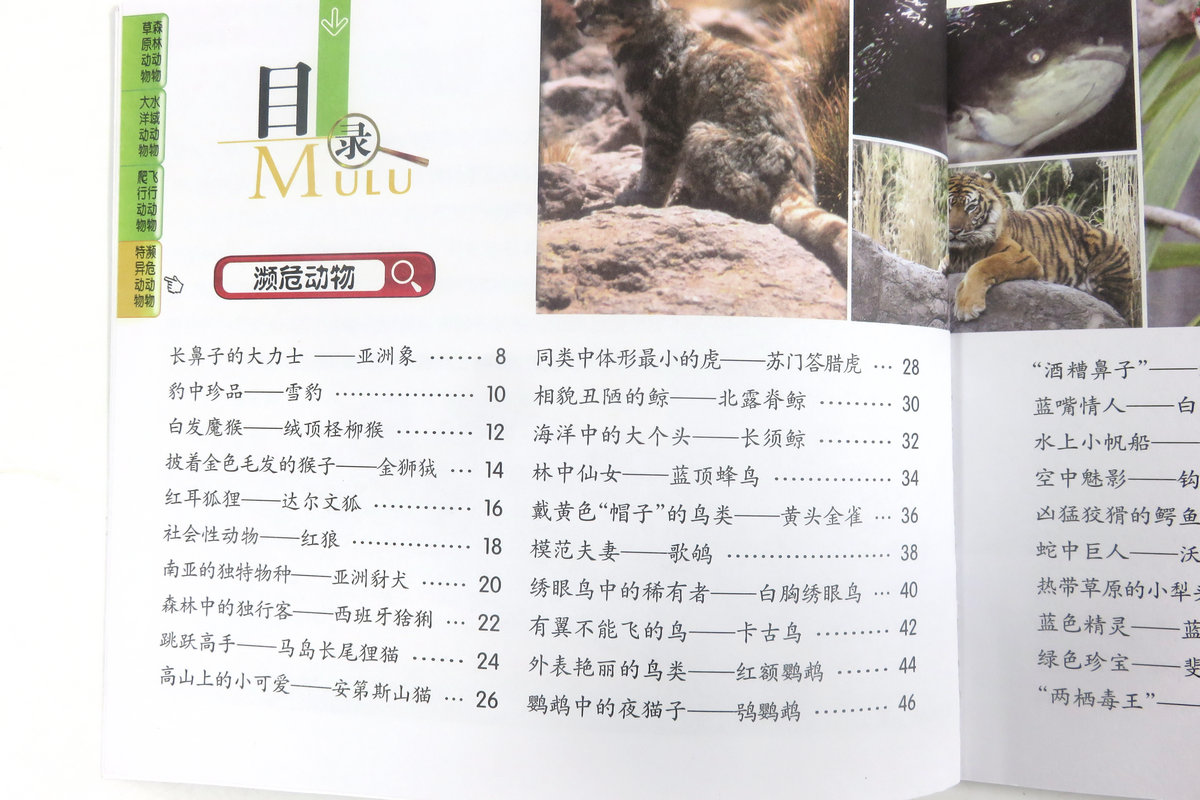 动物百科全书知识大全及答案，探索动物世界的奥秘