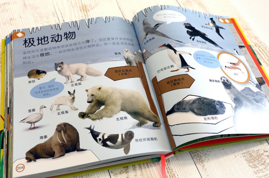 动物百科全书，探索自然界的奇妙生物