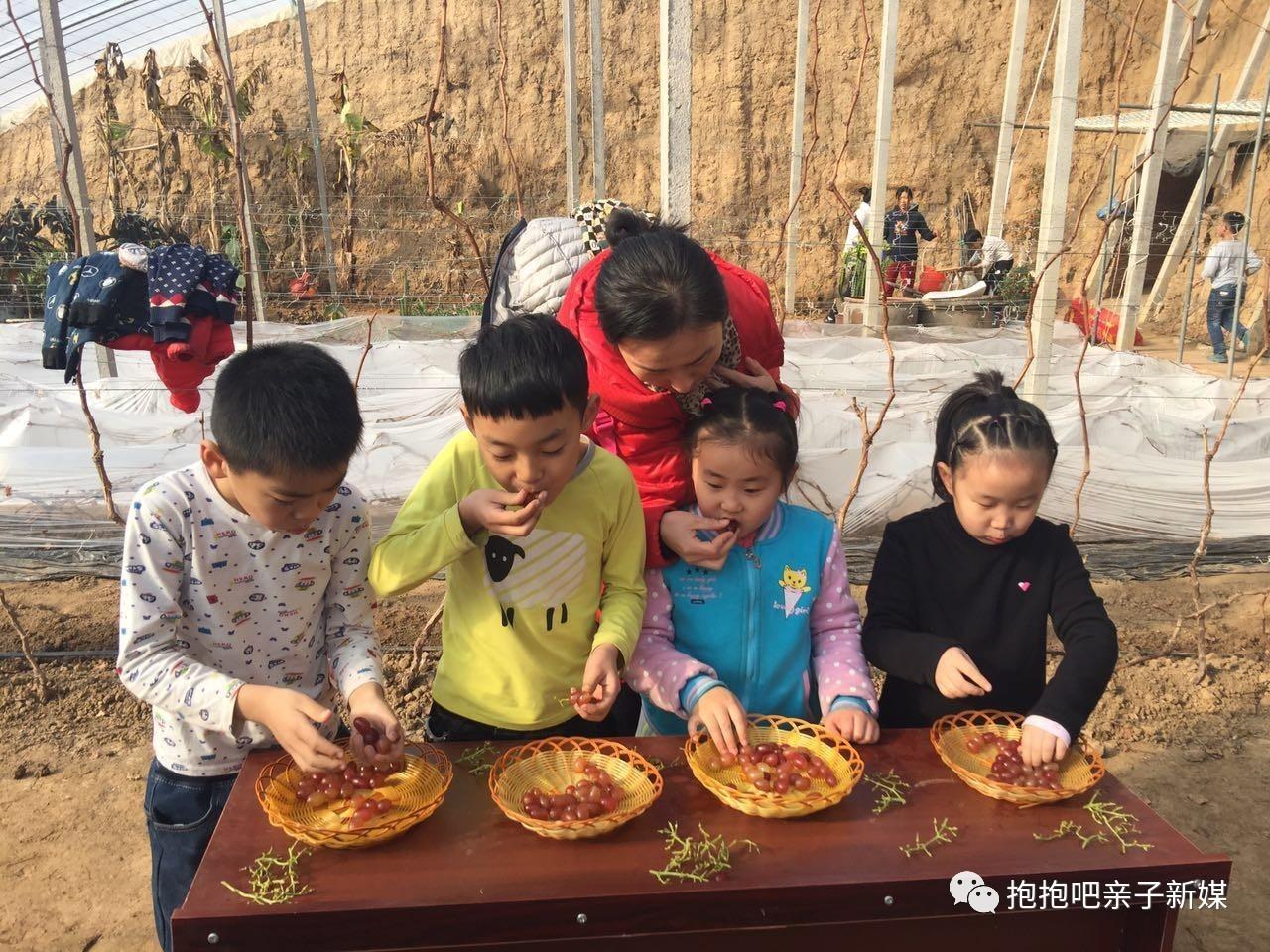 探索宝贝DJ音乐网APP，音乐爱好者的天堂