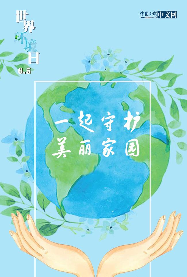 花与自然，和谐共生的艺术