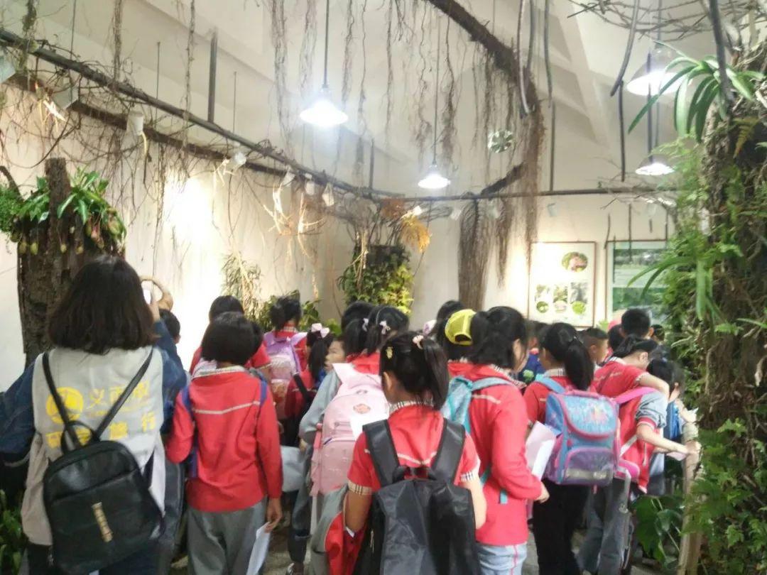 儿童百科提问大全，探索世界的奇妙之旅