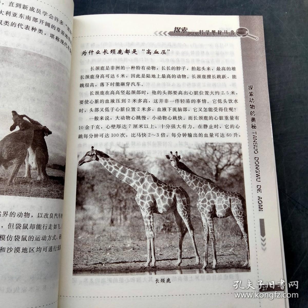 及答案大全，探索动物世界的奥秘