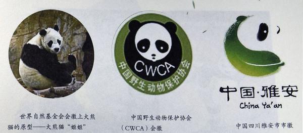 熊猫的象征与知识产权保护，打击假冒伪劣的战斗
