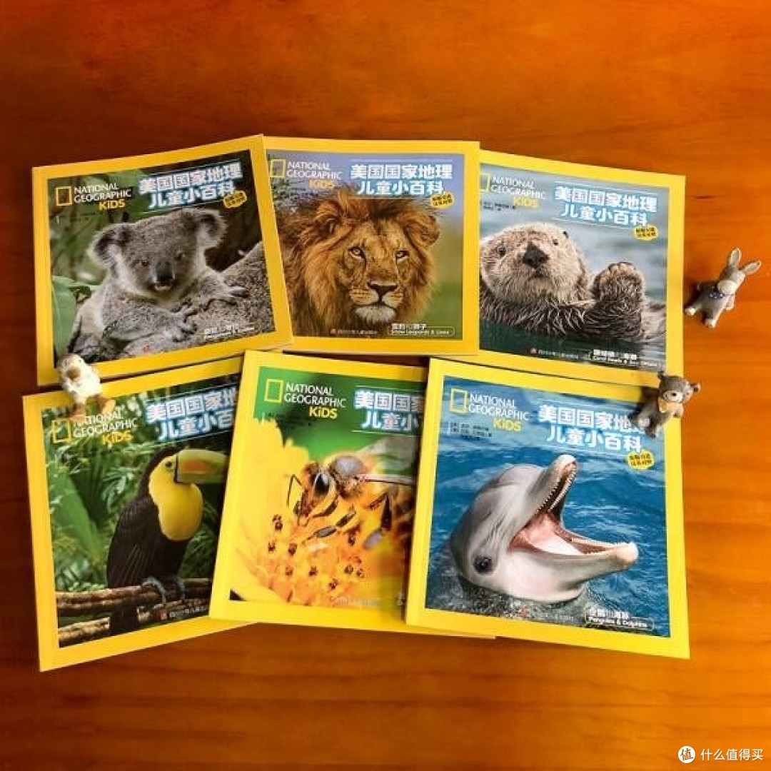 儿童百科系列，开启知识探索之旅