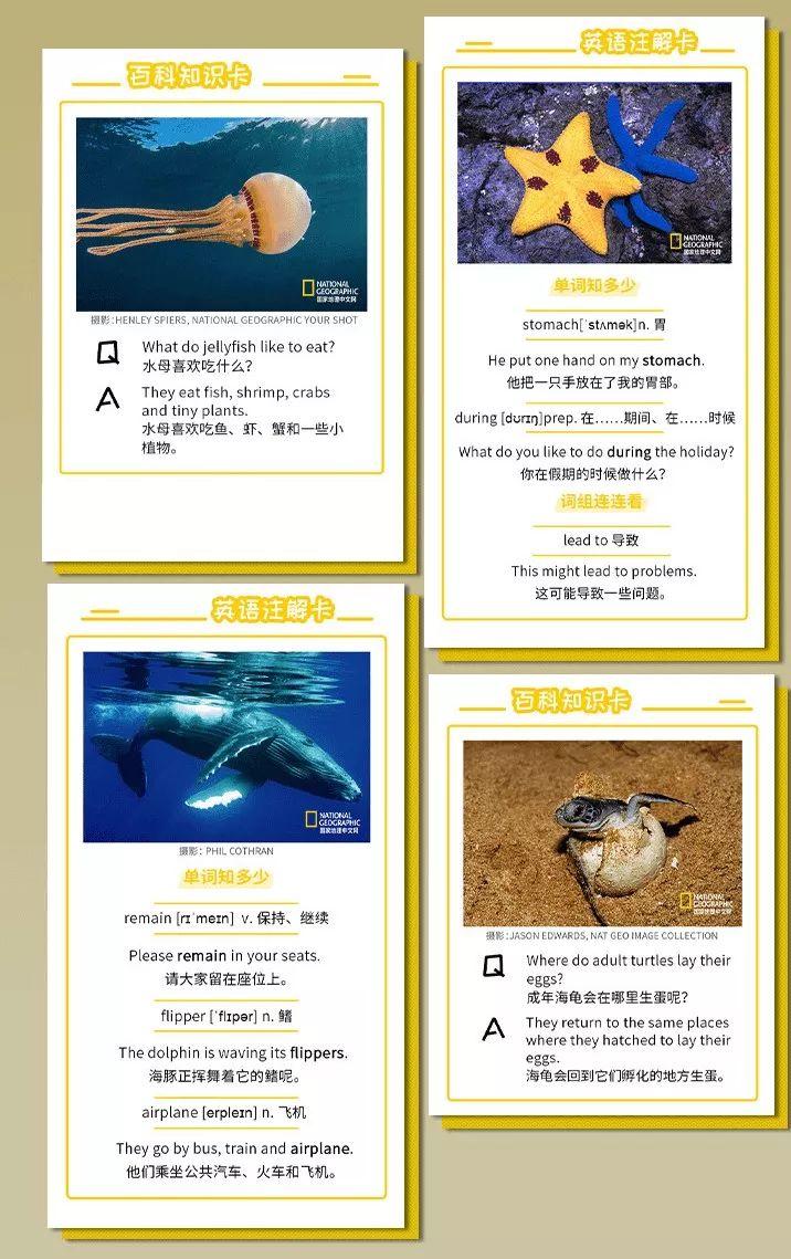 探索儿童百科系列电子书，开启知识之门的钥匙