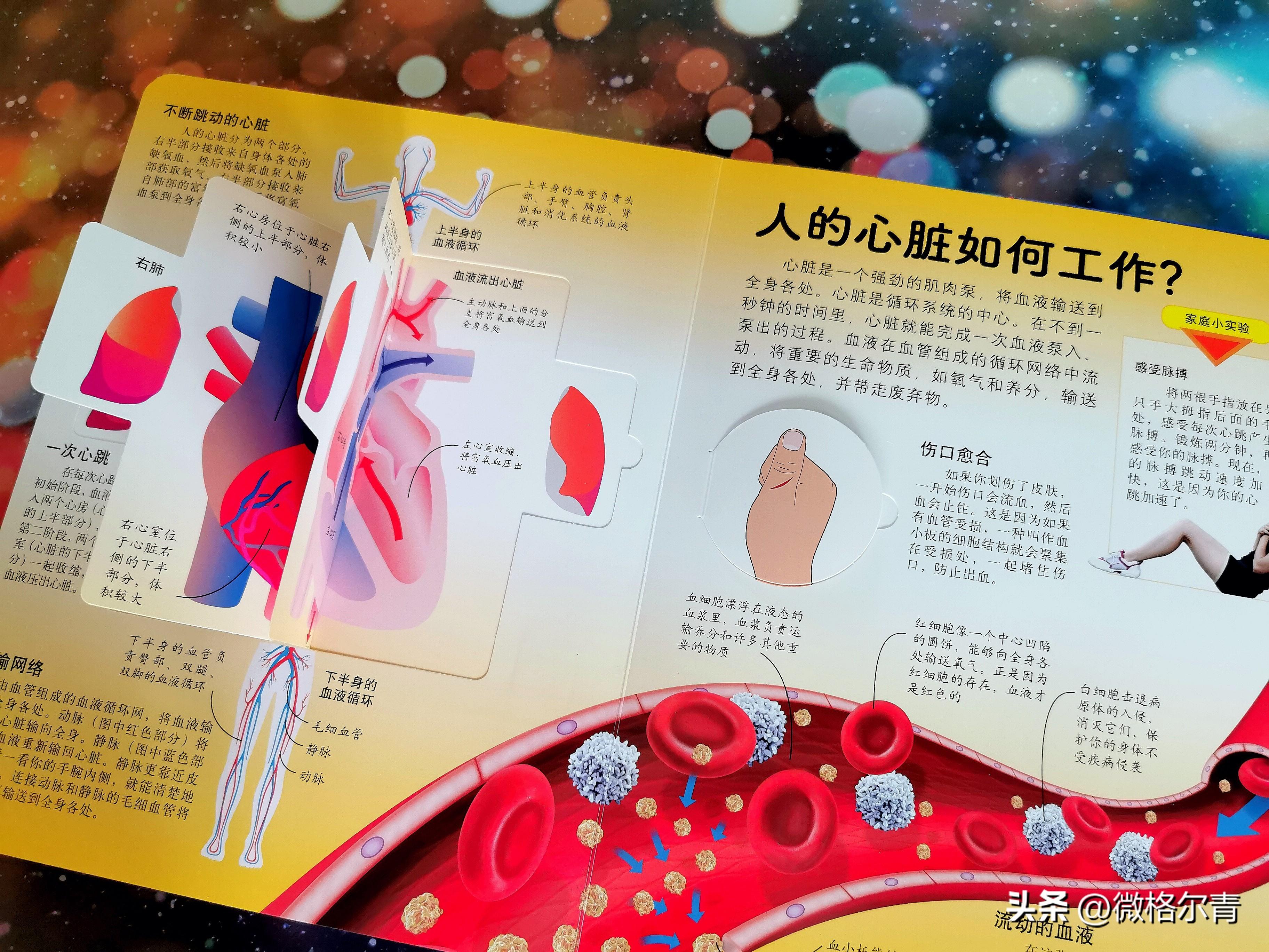 小百科知识大全，探索世界的奥秘