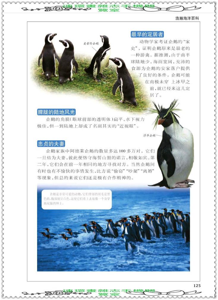 探索知识的海洋，儿童百科全书在线听的奇妙世界