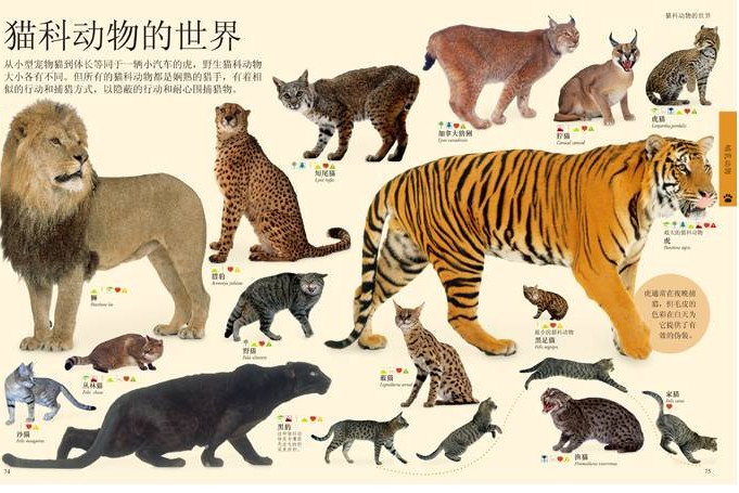 动物百科常识选择题汇总，探索自然界的奇妙生物
