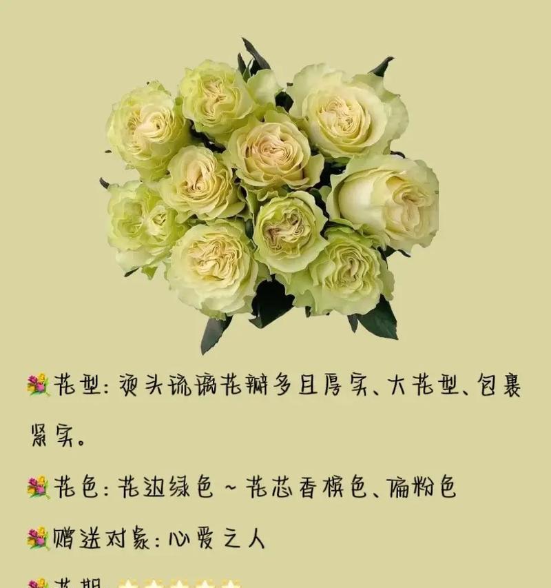 花与花搭配的花语，解读花卉组合的深层含义