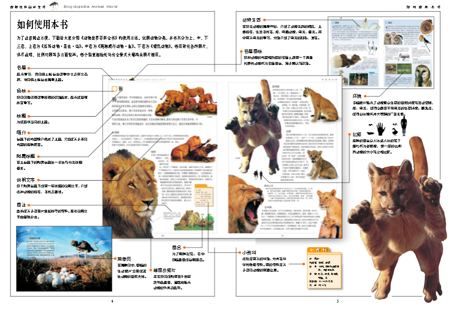 动物百科知识大全及答案解析，探索动物世界的奥秘
