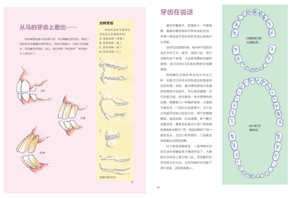动物百科知识大全及答案解析，探索动物世界的奥秘