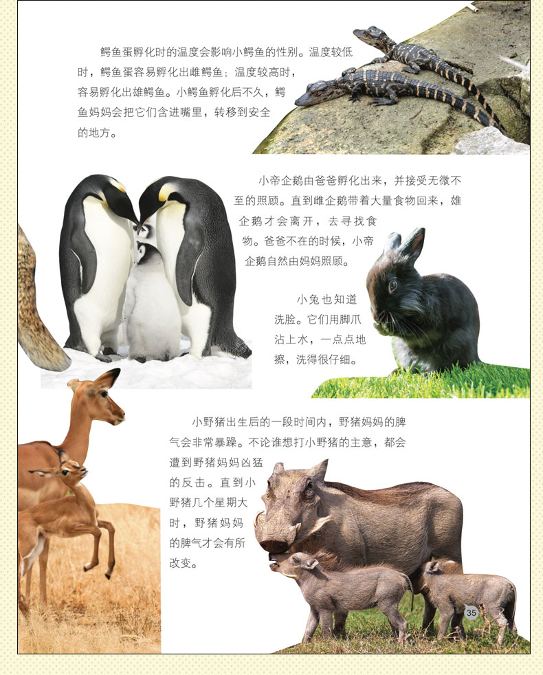 动物百科知识大全及答案，挑战你的知识极限