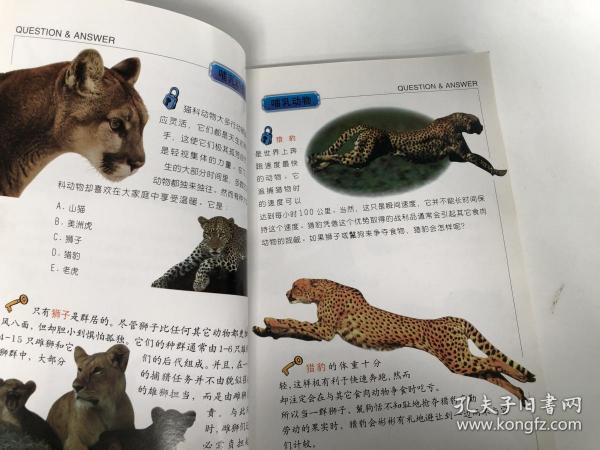 动物百科知识大全及答案，挑战你的知识极限