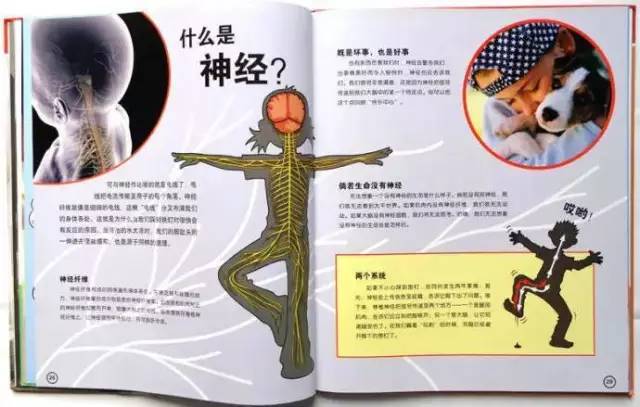 百科知识，探索世界的万花筒