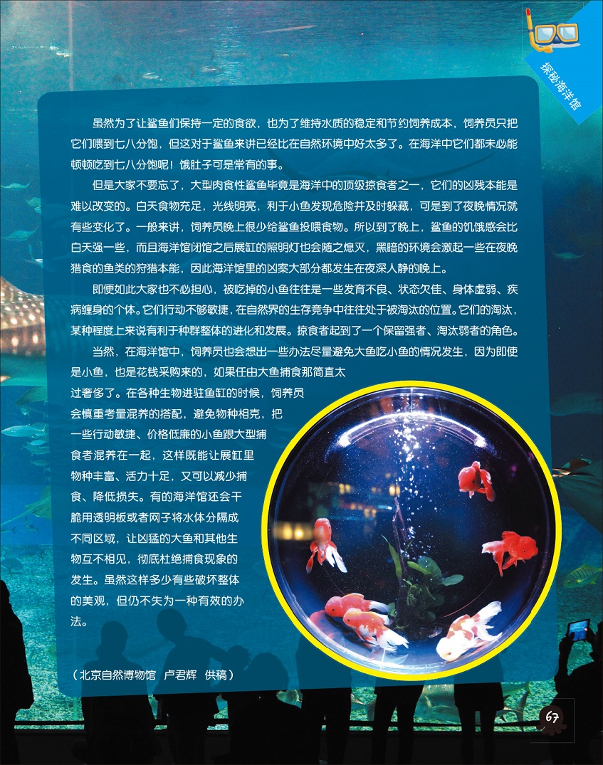 百科知识，探索世界的万花筒